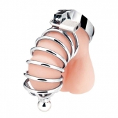 Серебристая клетка для члена Urethral Play Cage - BlueLine - купить с доставкой в Калининграде