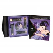 Подарочный набор Geishas secret из 5 предметов - Shunga - купить с доставкой в Калининграде