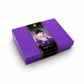 Подарочный набор Naughter Kit - Shunga - купить с доставкой в Калининграде
