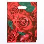 Пакет с цветочным принтом и вырубной ручкой (30х40 см) - Сима-Ленд - купить с доставкой в Калининграде