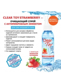 Очищающий спрей для игрушек CLEAR TOY Strawberry - 100 мл. - Биоритм - купить с доставкой в Калининграде