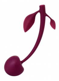 Бордовая вагинальная вишенка WILD CHERRY - 14,5 см. - JOS