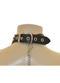 Ошейник  Веселый Роджер - Sitabella - купить с доставкой в Калининграде