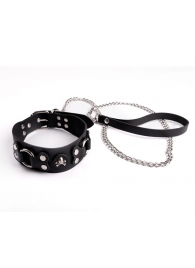 Ошейник  Веселый Роджер - Sitabella - купить с доставкой в Калининграде