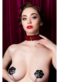 Красный ошейник из лакированного материала - ToyFa - купить с доставкой в Калининграде