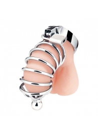 Серебристая клетка для члена Urethral Play Cage - BlueLine - купить с доставкой в Калининграде