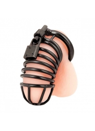 Черная металлическая клетка с замком Deluxe Chastity Cage - BlueLine - купить с доставкой в Калининграде