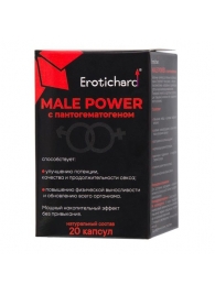 Капсулы для мужчин Erotichard male power с пантогематогеном - 20 капсул (0,370 гр.) - Erotic Hard - купить с доставкой в Калининграде