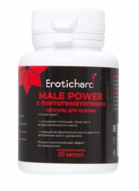Капсулы для мужчин Erotichard male power с пантогематогеном - 20 капсул (0,370 гр.) - Erotic Hard - купить с доставкой в Калининграде
