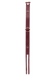 Бордовый ремень Halo Waist Belt - размер L-XL - Shots Media BV - купить с доставкой в Калининграде