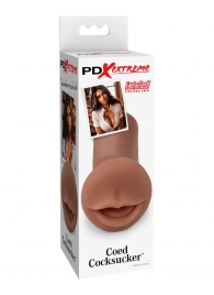 Мастурбатор-ротик Coed Cocksucker - Pipedream - в Калининграде купить с доставкой