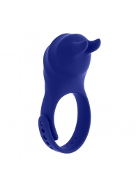 Синее эрекционное виброкольцо с клиторальной подушечкой и пультом ДУ Adjustable Fun Ring - Zero Tolerance - в Калининграде купить с доставкой