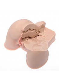 Мастурбатор-полуторс Naked Factory Kate - Naked Factory - в Калининграде купить с доставкой