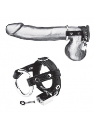 Утяжка на пенис на замочке Duo Cock And Ball Lock - BlueLine - купить с доставкой в Калининграде