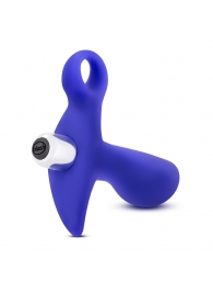 Синий стимулятор простаты с ручкой-кольцом Performance Prostimulator 02 - Blush Novelties - в Калининграде купить с доставкой