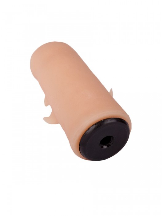 Черный пояс-трусики с двумя насадками  Экзотик-Sara  - 16,5 и 11 см. - LOVETOY (А-Полимер) - купить с доставкой в Калининграде