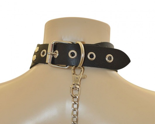 Ошейник  Веселый Роджер - Sitabella - купить с доставкой в Калининграде