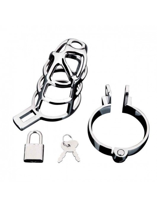 Серебристая металлическая клетка для члена с замком Enslave Cock Cage - BlueLine - купить с доставкой в Калининграде