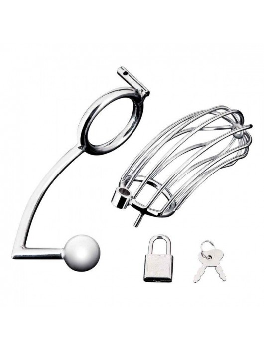 Серебристая металлическая клетка с анальным стимулятором Cock Cage - BlueLine - купить с доставкой в Калининграде