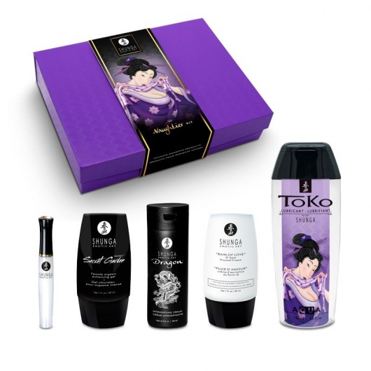 Подарочный набор Naughter Kit - Shunga - купить с доставкой в Калининграде