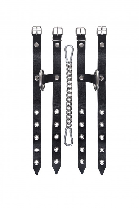 Черные однослойные кожаные оковы из двух ремешков - Pecado - купить с доставкой в Калининграде