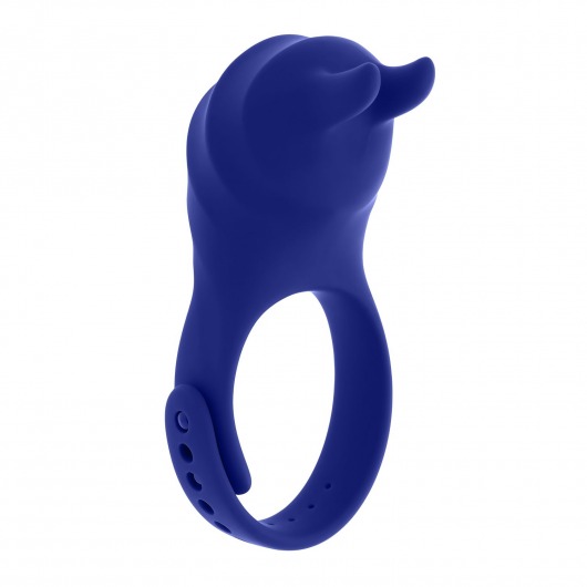 Синее эрекционное виброкольцо с клиторальной подушечкой и пультом ДУ Adjustable Fun Ring - Zero Tolerance - в Калининграде купить с доставкой