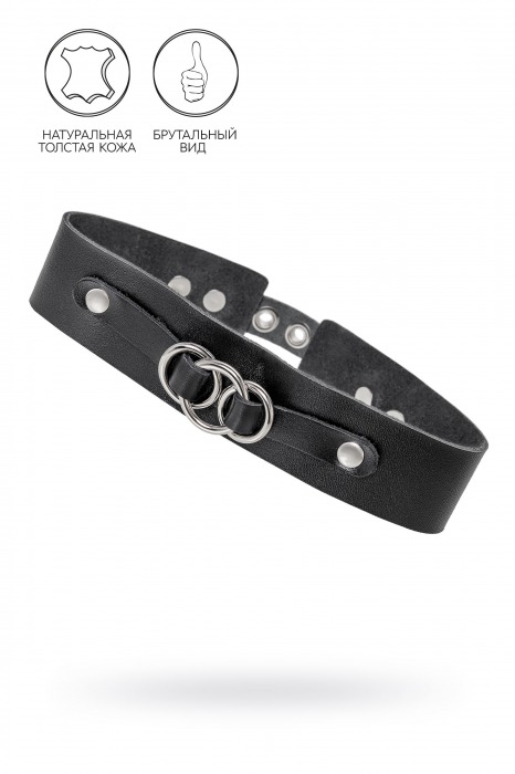 Черный чокер-ошейник со связанными кольцами на подложке - Pecado - купить с доставкой в Калининграде