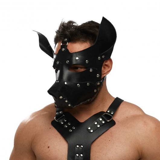 Черная кожаная маска «Собака» - Crazy Handmade - купить с доставкой в Калининграде