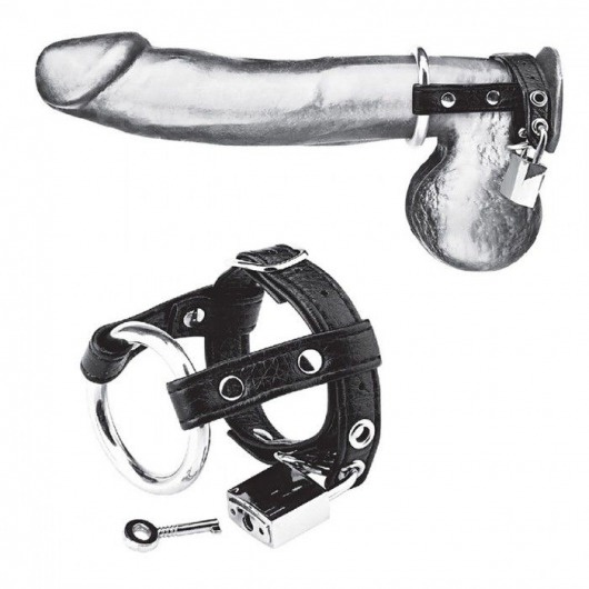 Утяжка на пенис на замочке Duo Cock And Ball Lock - BlueLine - купить с доставкой в Калининграде