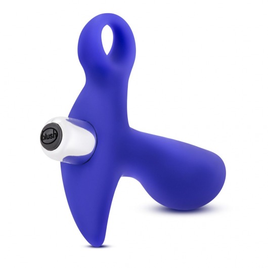 Синий стимулятор простаты с ручкой-кольцом Performance Prostimulator 02 - Blush Novelties - в Калининграде купить с доставкой