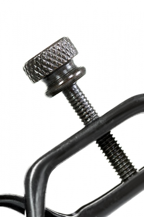 Черно-золотистые зажимы для сосков TOYFA Theatre - ToyFa - купить с доставкой в Калининграде