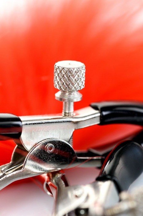 Зажимы для сосков с красным пухом Theatre - ToyFa - купить с доставкой в Калининграде