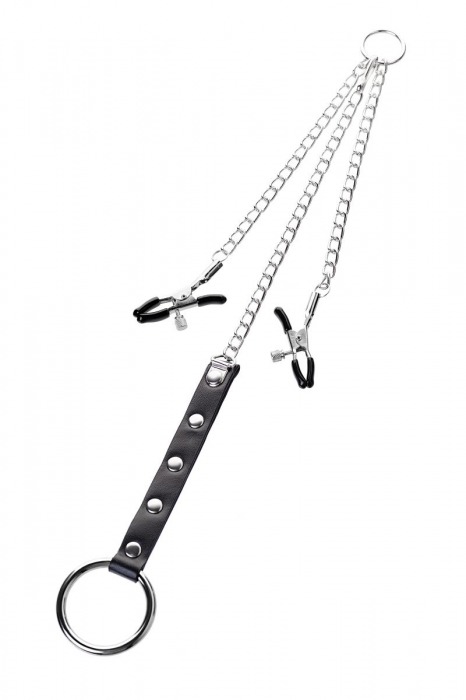 Серебристо-чёрные зажимы для сосков с кольцом для пениса TOYFA Metal - ToyFa - купить с доставкой в Калининграде