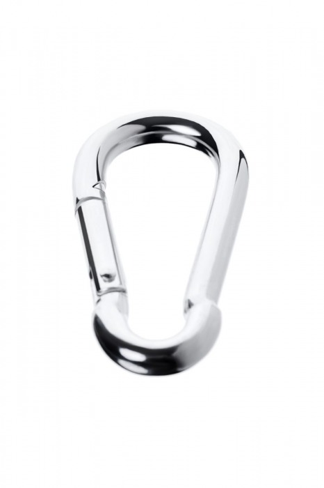 Серебристый карабин TOYFA Metal - ToyFa - купить с доставкой в Калининграде